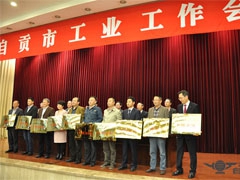 我公（gōng）司喜獲2015年（nián）全市工業綜合實力十強企業