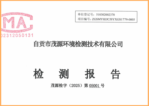 自貢市茂源（yuán）環境檢測技術有限公司（sī）報告